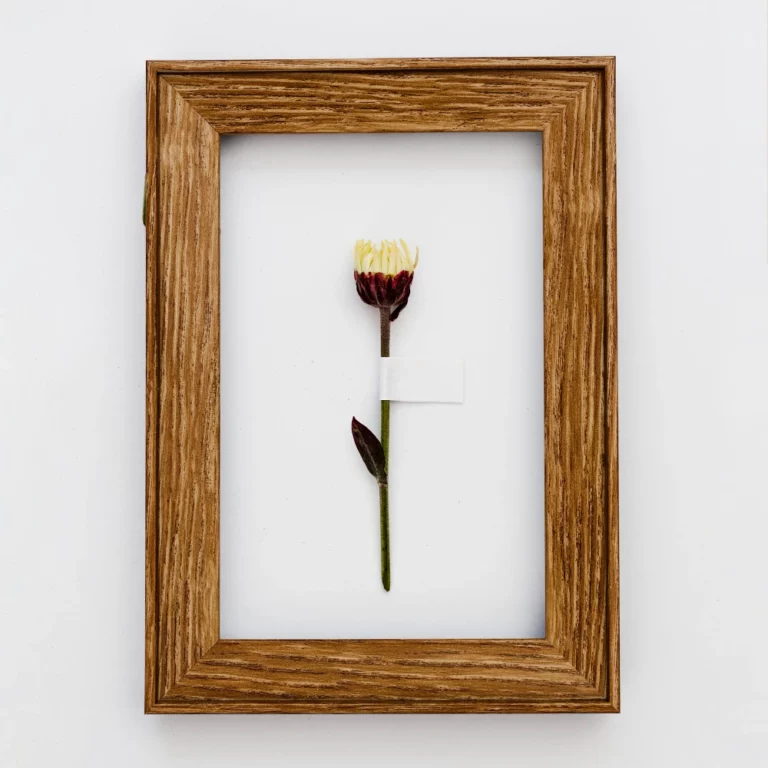 The Ultimate 2026 Guide to Sourcing the Best Photo Frames